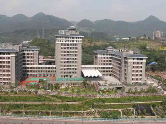 重庆市第十一人民医院