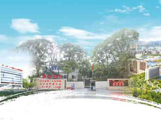 宜昌市第二人民医院