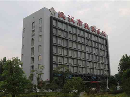 武汉市武东医院