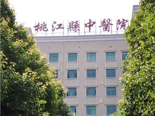 桃江县中医医院