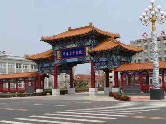平原县中医院