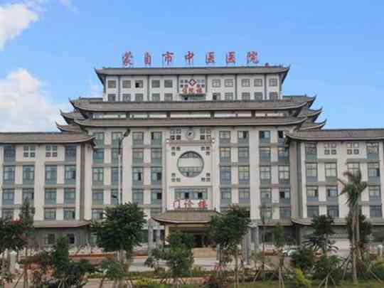 蒙自市中医医院