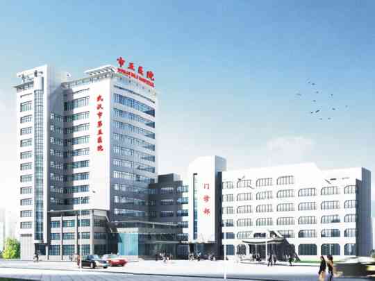 武汉市第五医院