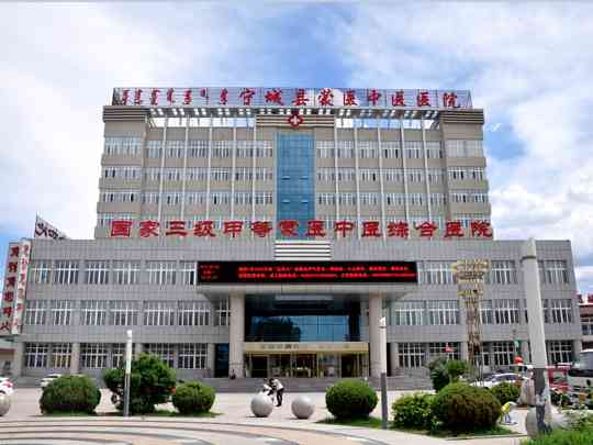 宁城县蒙医中医医院