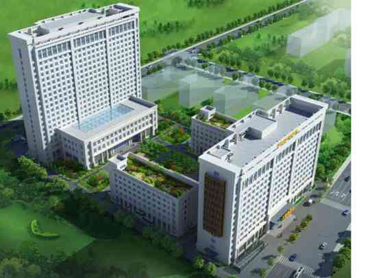 西安中医脑病医院