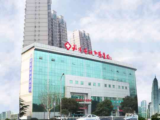 武汉博仕肛肠医院